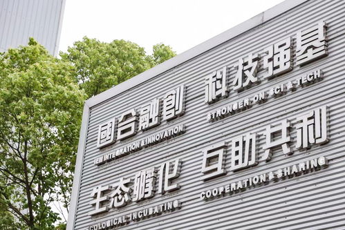 國合基地創新創業熱土 6年孵化科技企業61家,集聚有效專利逾百項
